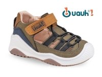 Shoe